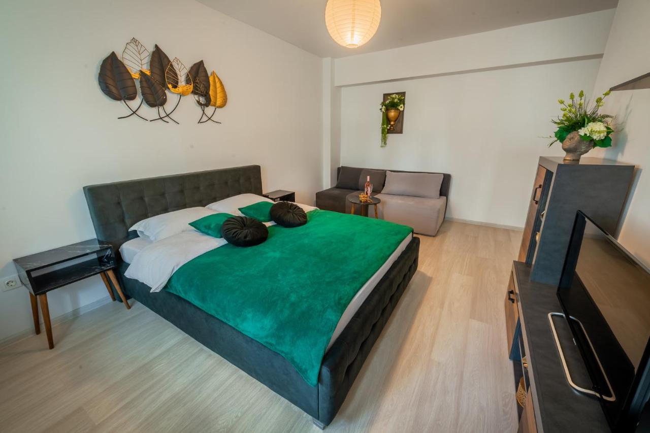 בראשוב Coresi Vibe Studio מראה חיצוני תמונה