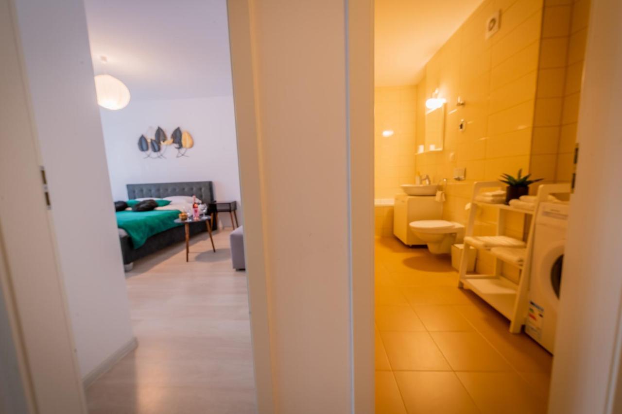 בראשוב Coresi Vibe Studio מראה חיצוני תמונה