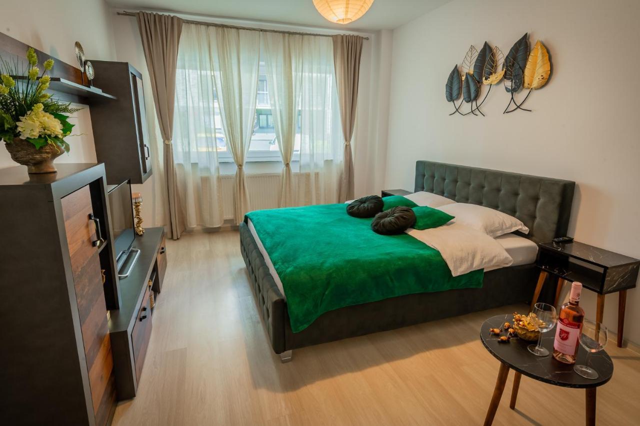 בראשוב Coresi Vibe Studio מראה חיצוני תמונה